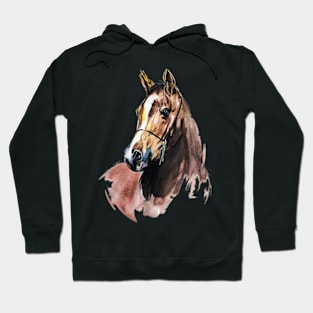 Arabian horse Hoodie